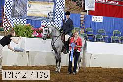 13r12_4195 proof