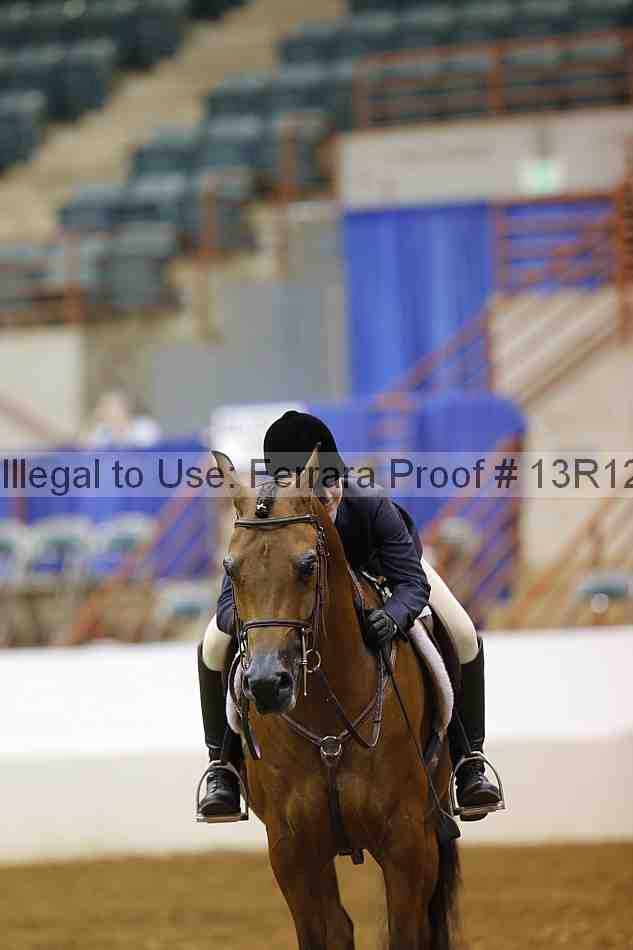 Proof 13r12_4196