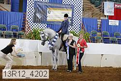 13r12_4202 proof