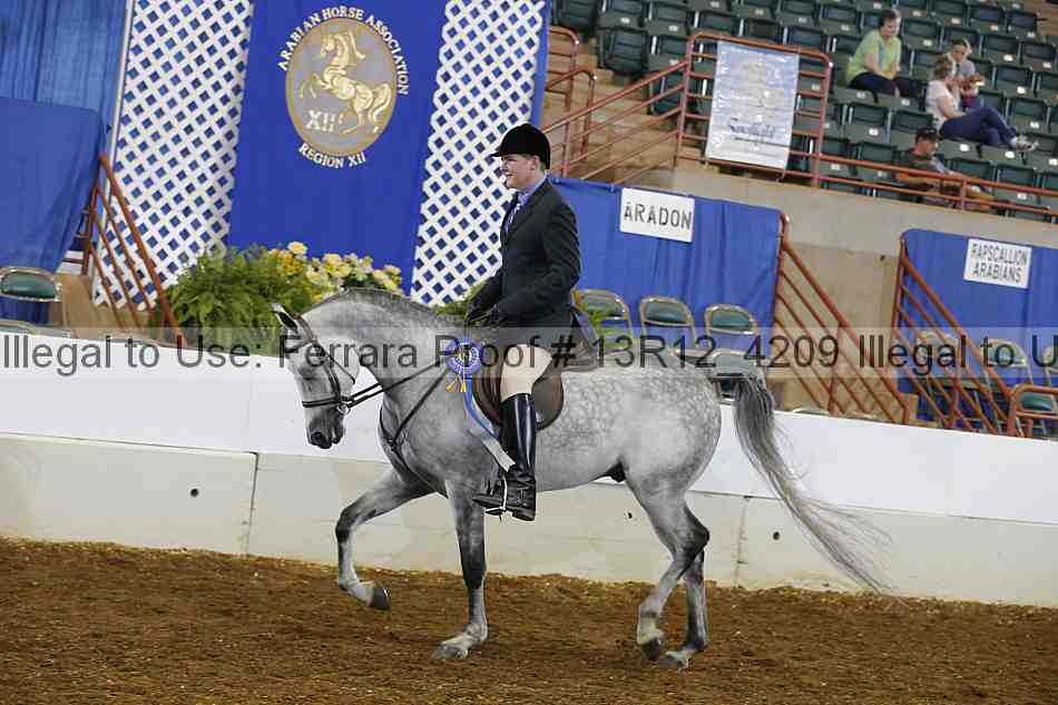 Proof 13r12_4209