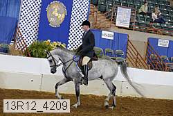 13r12_4209 proof