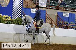 13r12_4211 proof