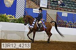 13r12_4213 proof