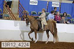 13r12_4224 proof
