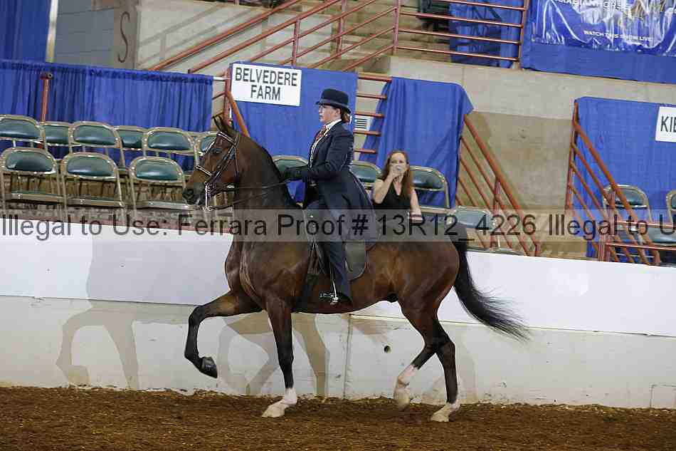 Proof 13r12_4226