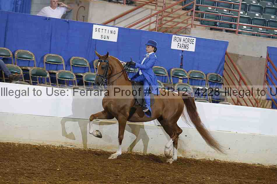 Proof 13r12_4228