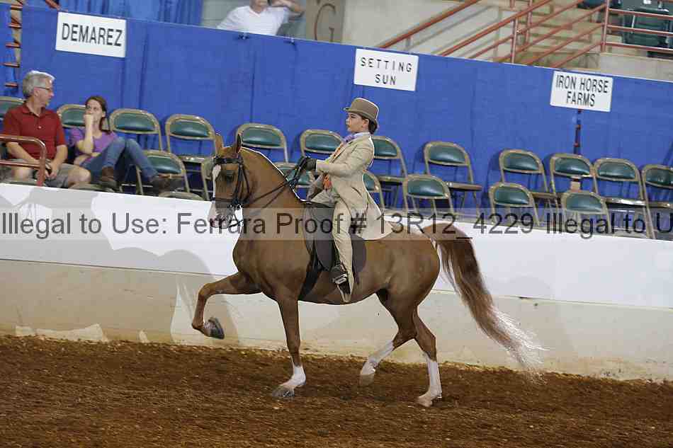 Proof 13r12_4229
