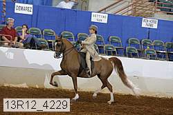 13r12_4229 proof