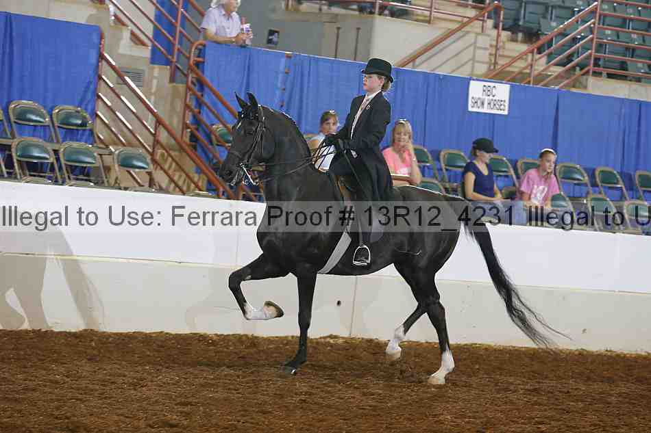 Proof 13r12_4231