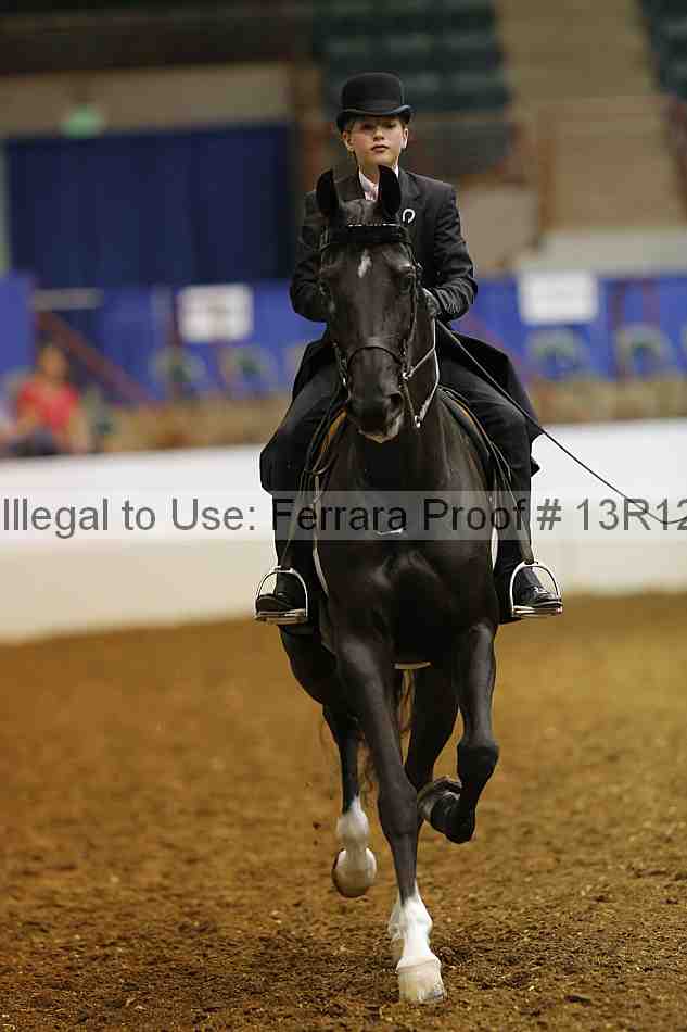 Proof 13r12_4237