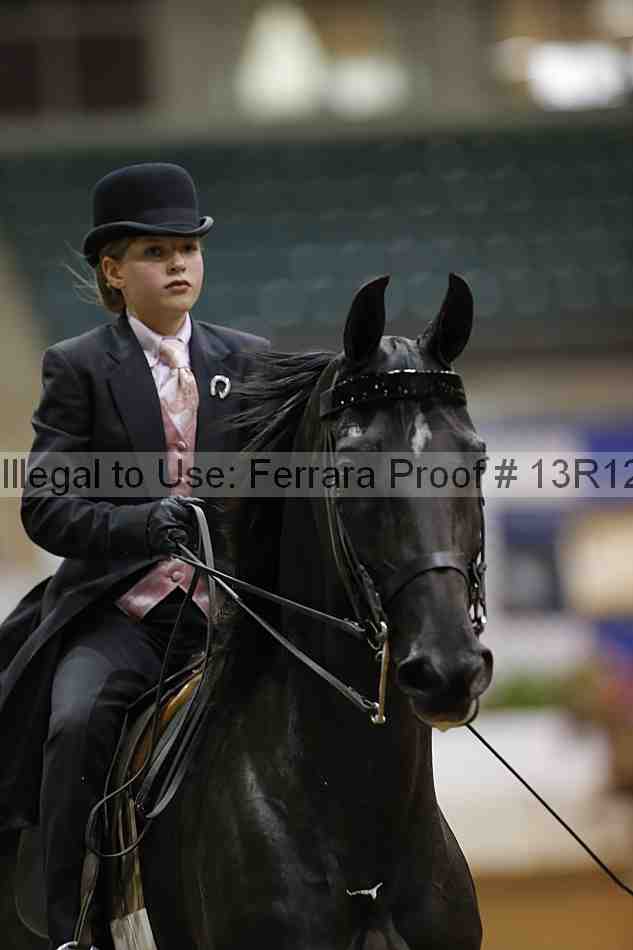 Proof 13r12_4239