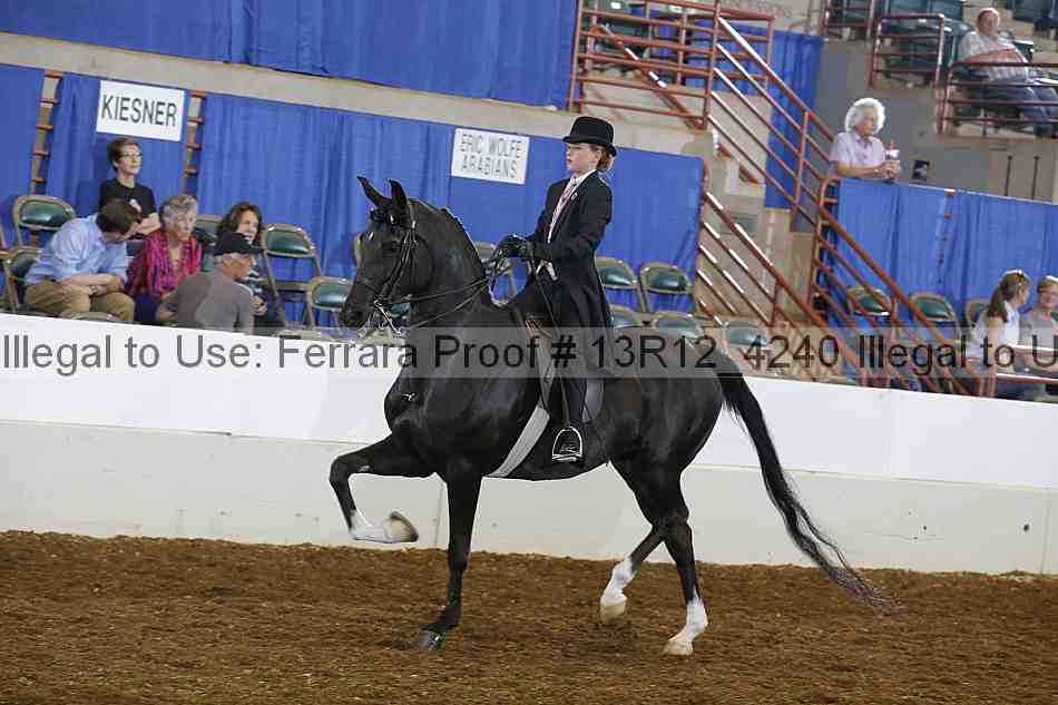 Proof 13r12_4240