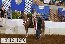 13r12_4250 proof