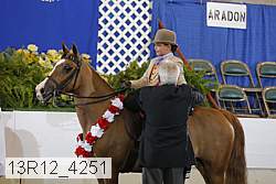 13r12_4251 proof