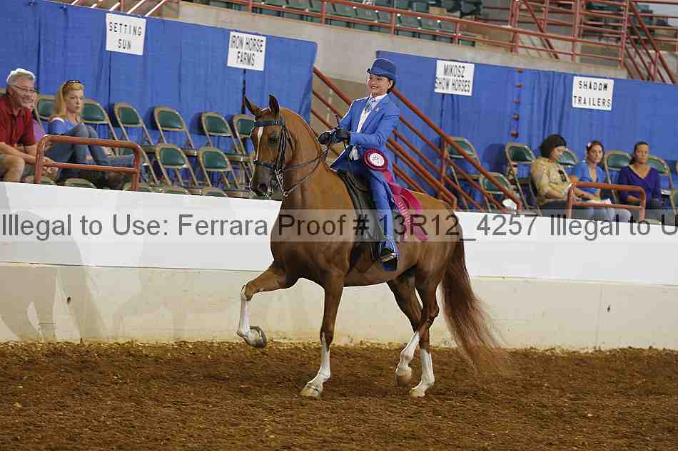 Proof 13r12_4257