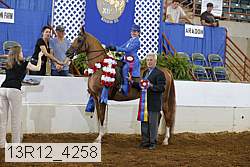 13r12_4258 proof