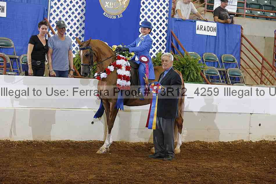 Proof 13r12_4259
