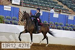 13r12_4276 proof