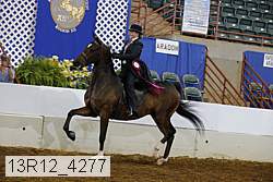 13r12_4277 proof