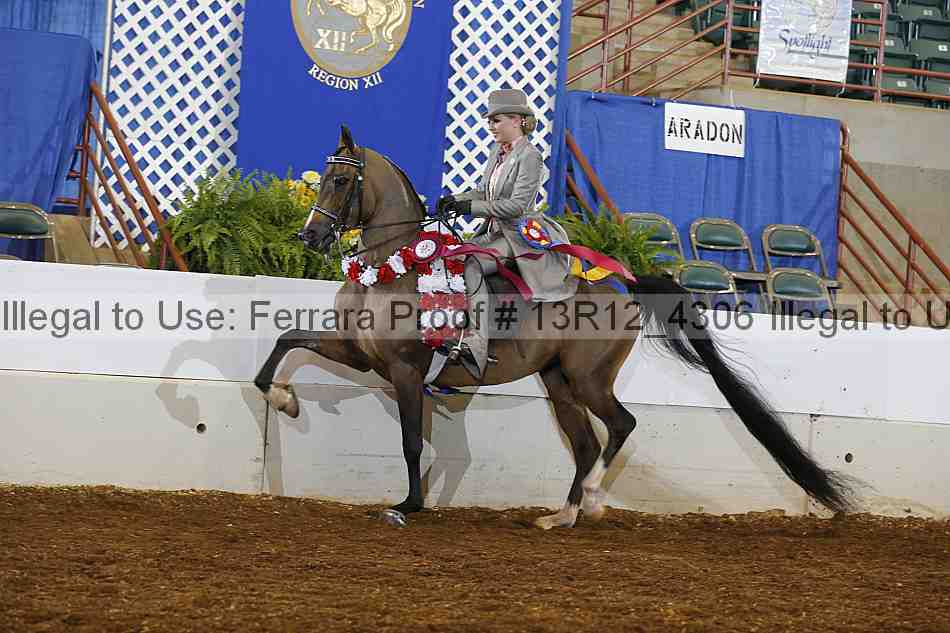 Proof 13r12_4306