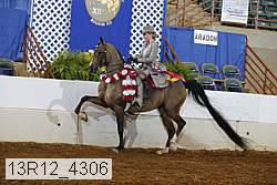 13r12_4306 proof