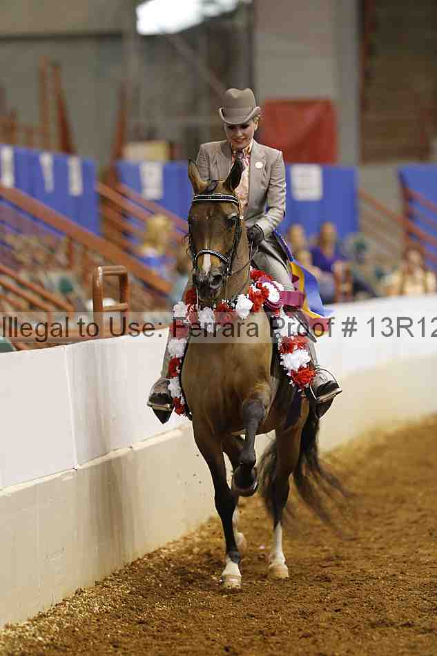Proof 13r12_4307