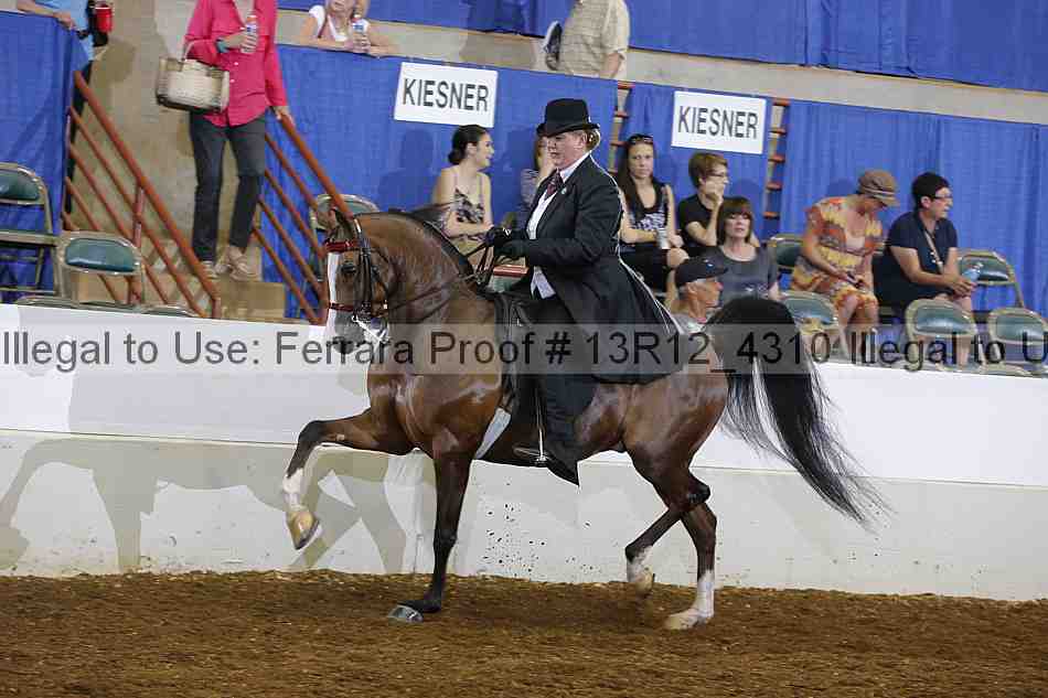 Proof 13r12_4310