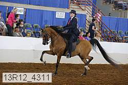 13r12_4311 proof