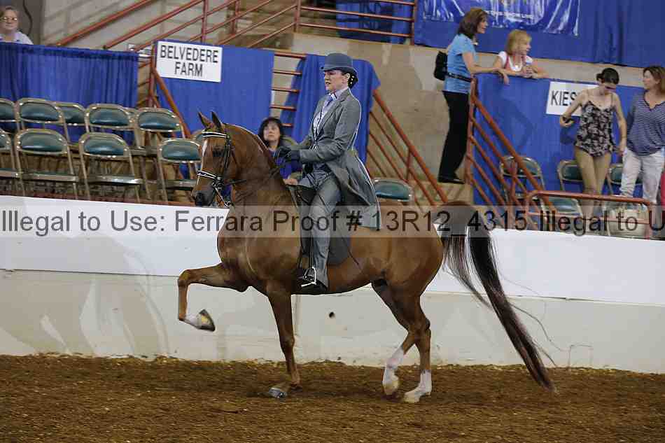 Proof 13r12_4315