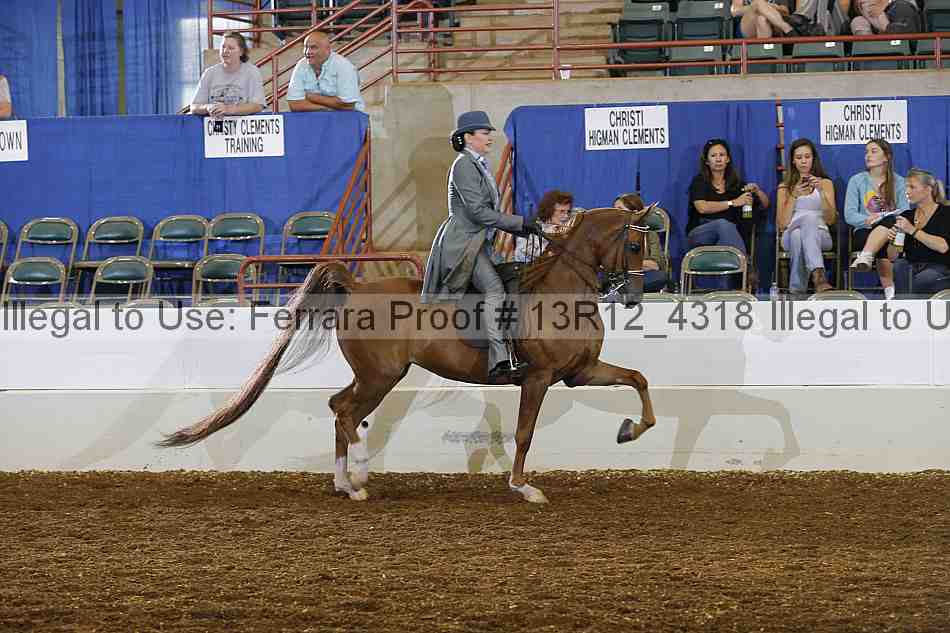 Proof 13r12_4318