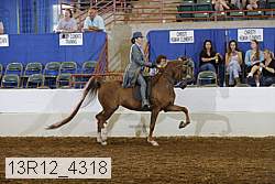 13r12_4318 proof