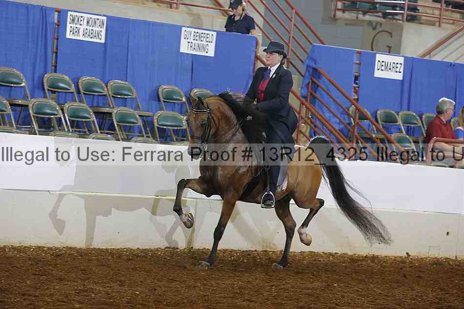 Proof 13r12_4325