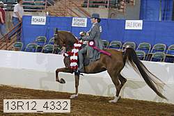 13r12_4332 proof