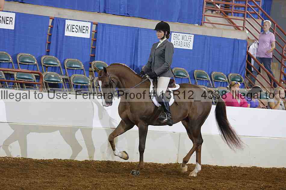 Proof 13r12_4338