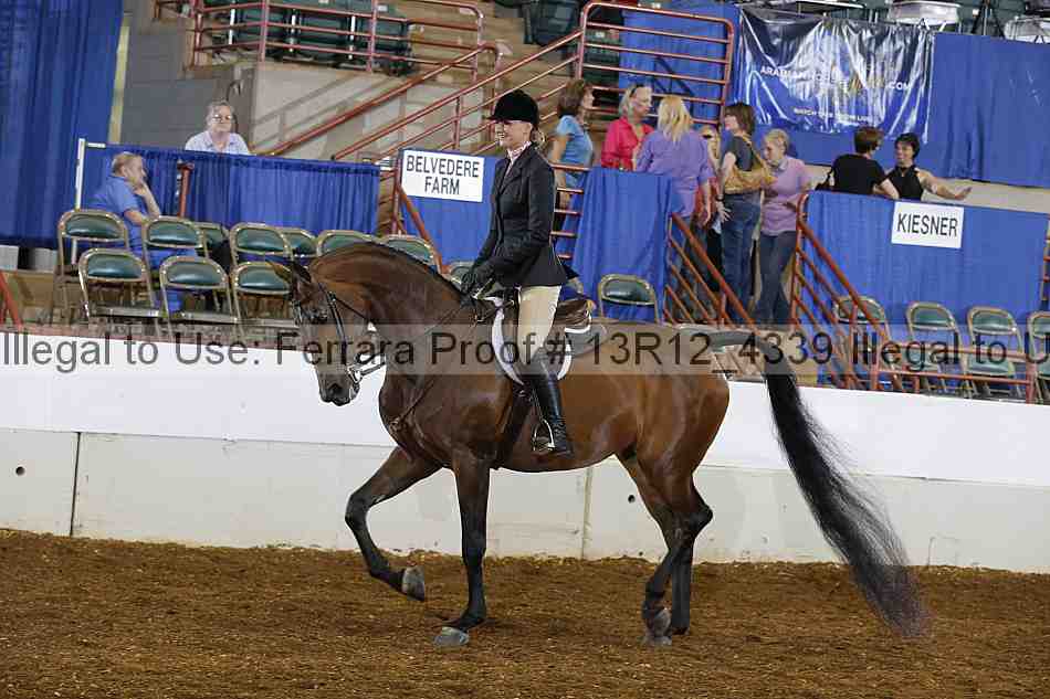 Proof 13r12_4339