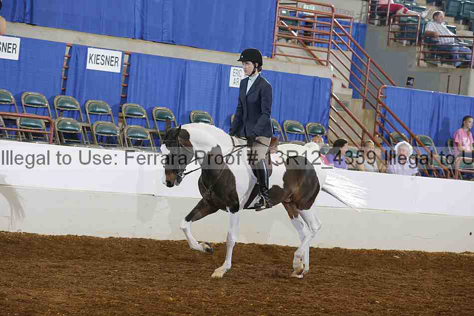 Proof 13r12_4359