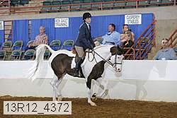 13r12_4372 proof