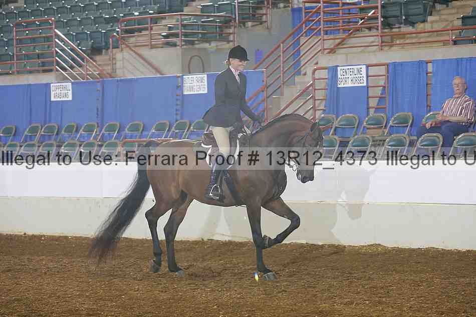 Proof 13r12_4373