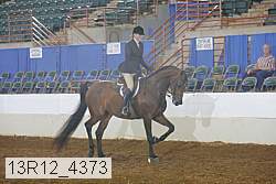 13r12_4373 proof