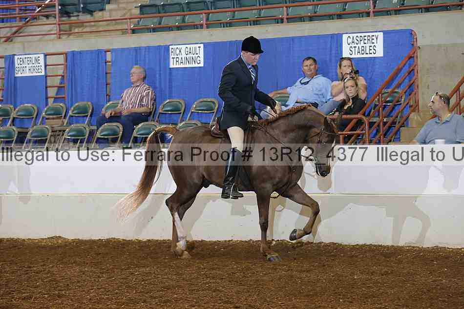 Proof 13r12_4377