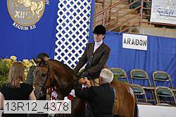 13r12_4378 proof