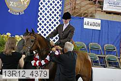 13r12_4379 proof