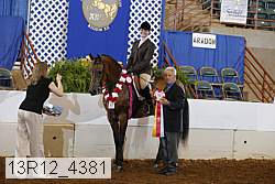 13r12_4381 proof