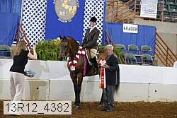 13r12_4382 proof
