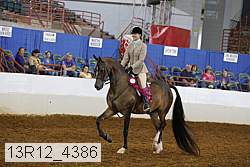 13r12_4386 proof