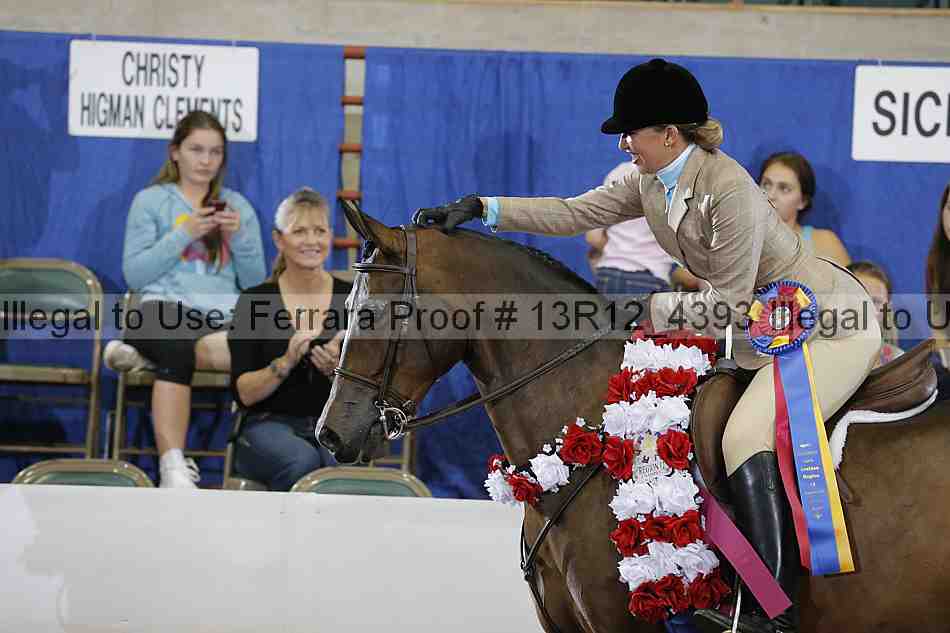 Proof 13r12_4393