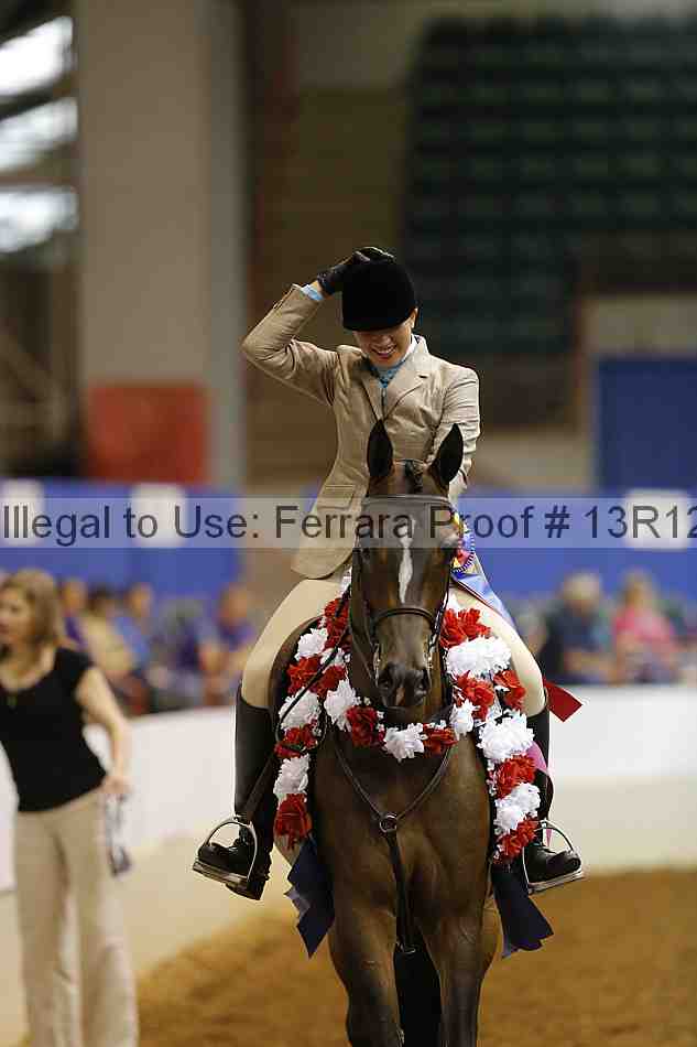 Proof 13r12_4397