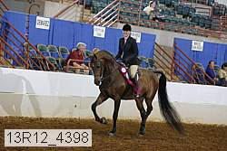 13r12_4398 proof