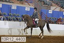 13r12_4403 proof