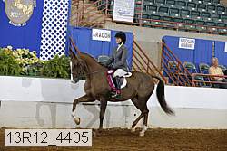 13r12_4405 proof